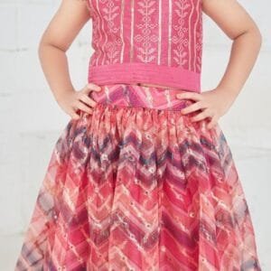 Kid Choli Set