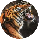 Malini Saravanan profile picture